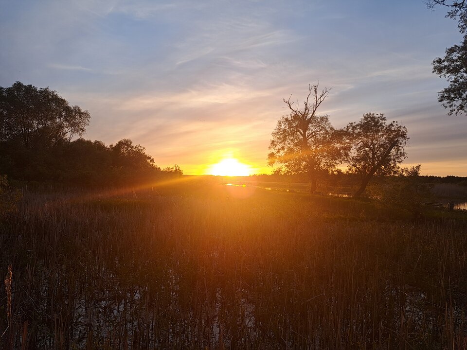 1000006084.jpg - Babilon1980