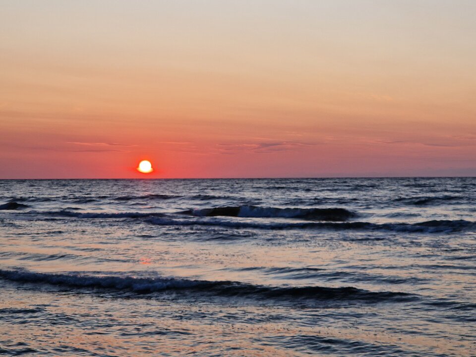 1000009778.jpg - Peter_44