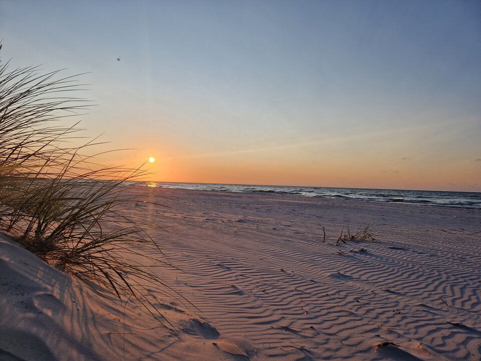 1000009751.jpg - Peter_44