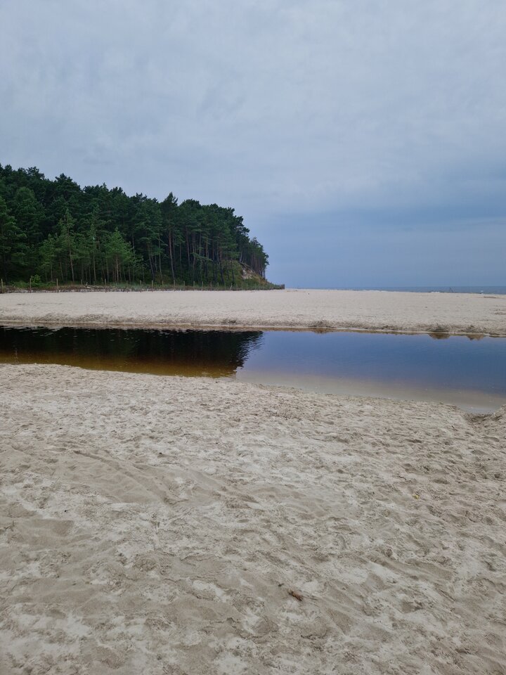 1000009693.jpg - Peter_44