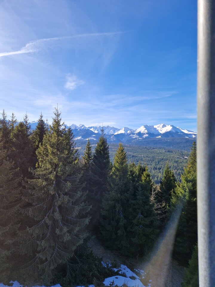 1000006789.jpg - Peter_44