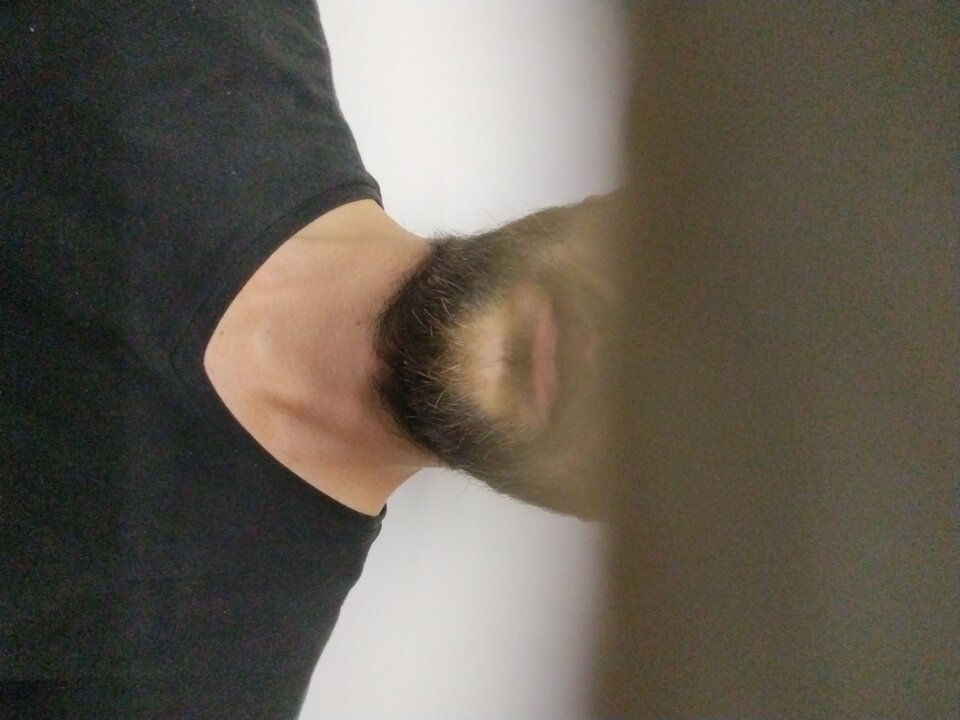 17232421647054874722331297420378.jpg - revers_