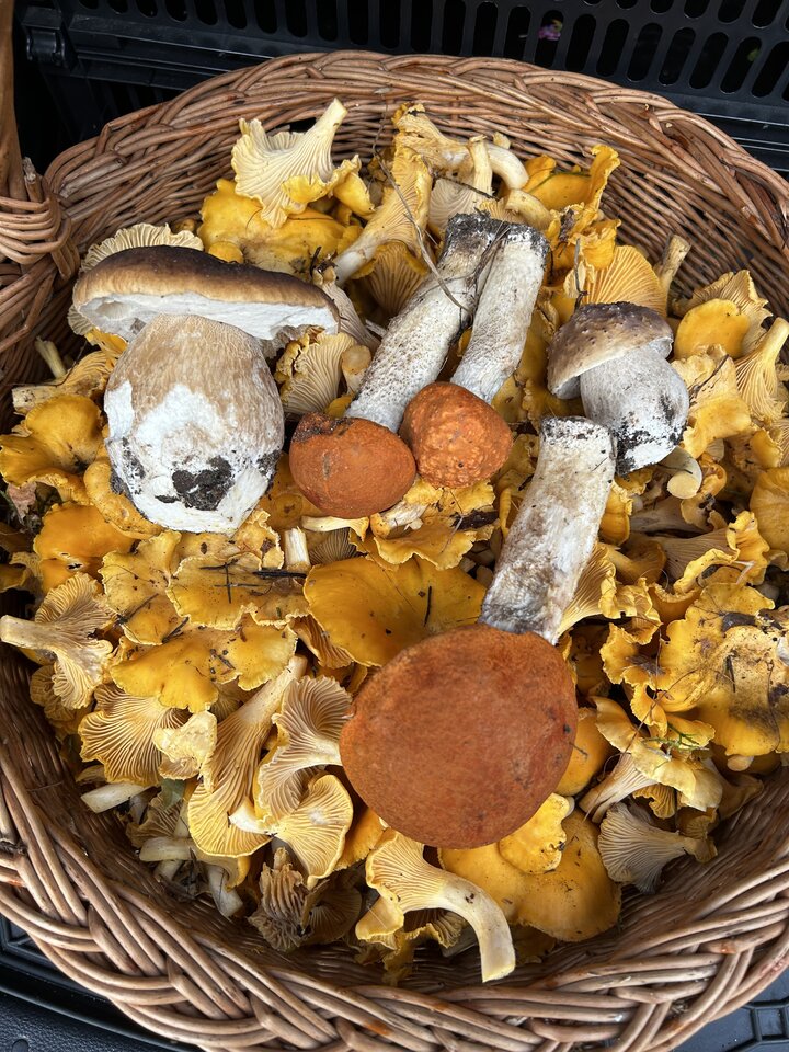 IMG_3953.jpeg - NaturystaXXX