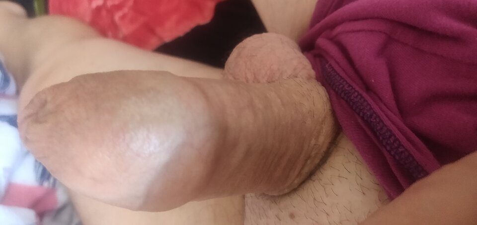 IMG_20240810_091911.jpg - fajnykutasek25