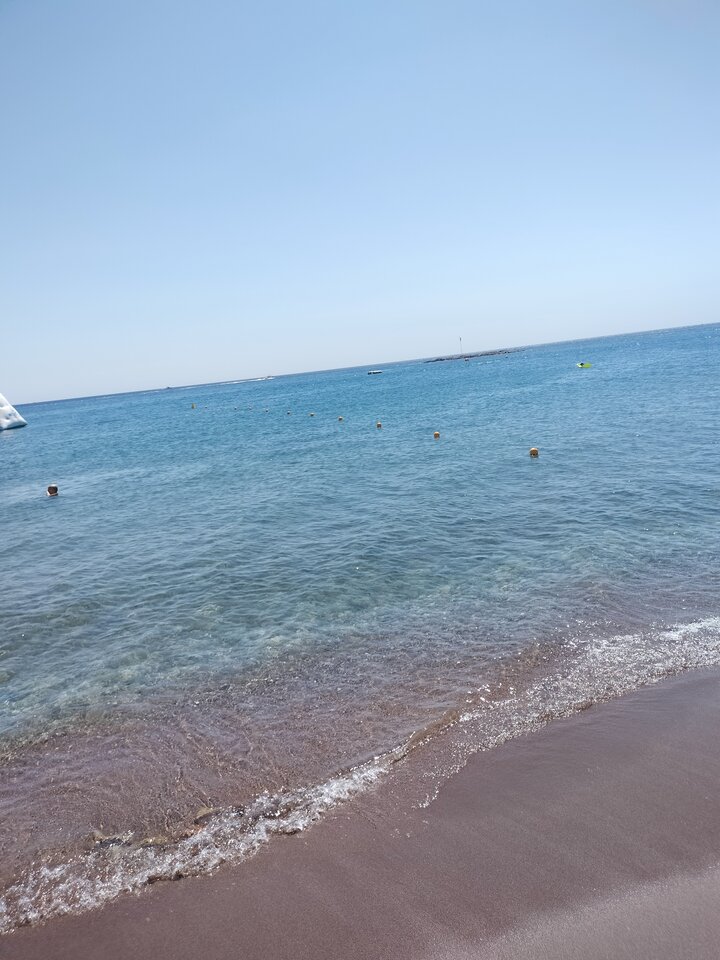 IMG20240810111821.jpg - Niunka150990