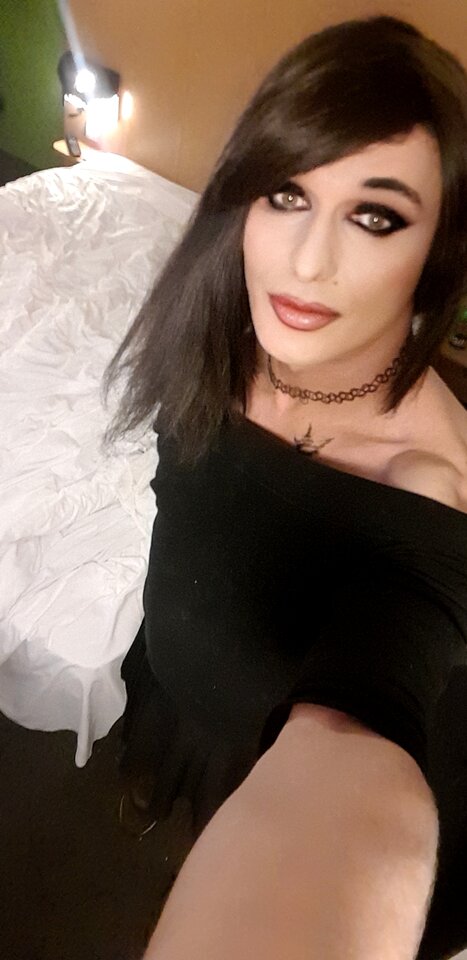 20240810_141224.jpg - TransKitty