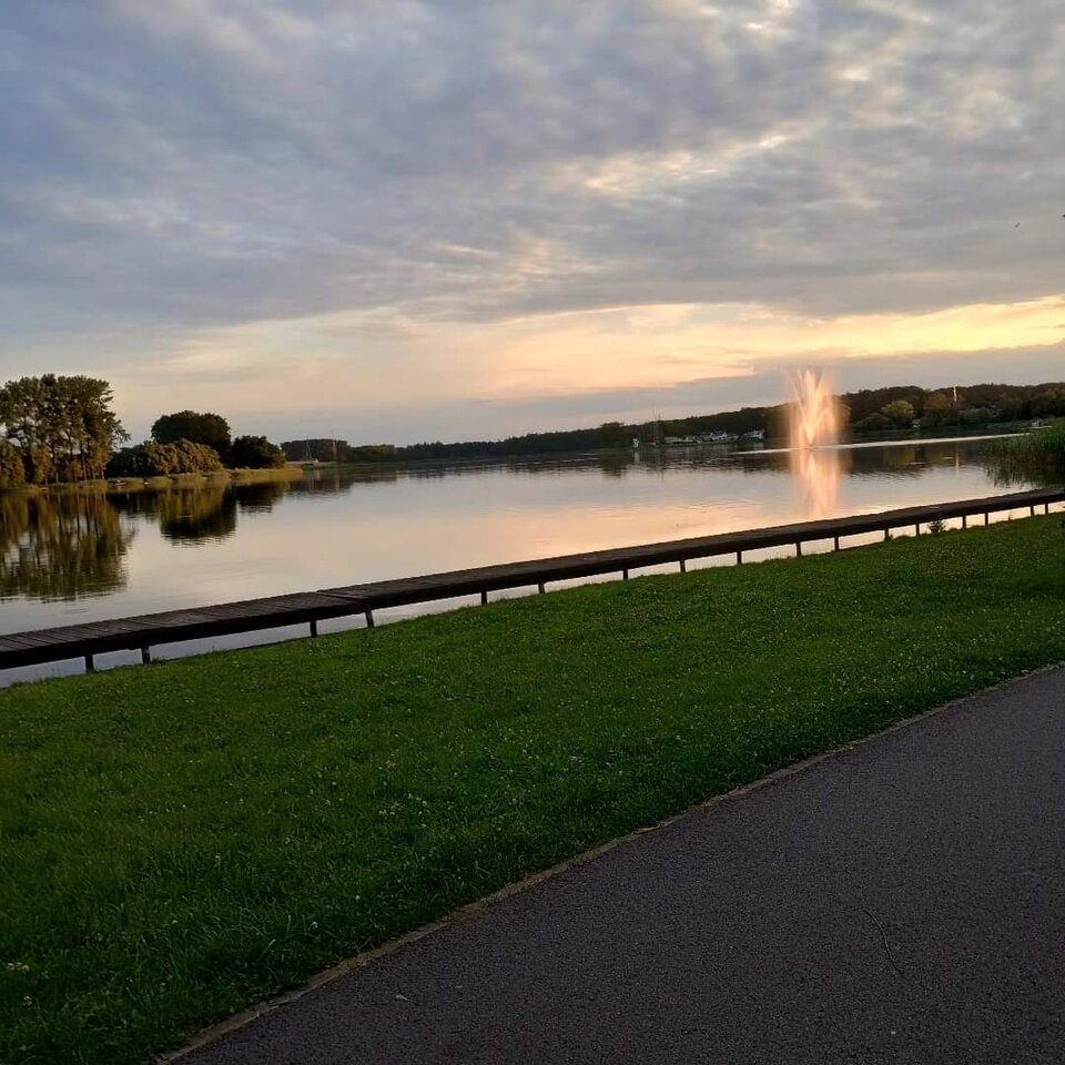 FB_IMG_1723295408222.jpg - Bull19900