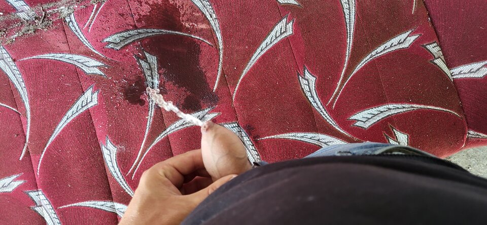 20240810_151715.jpg - BESTIALITY