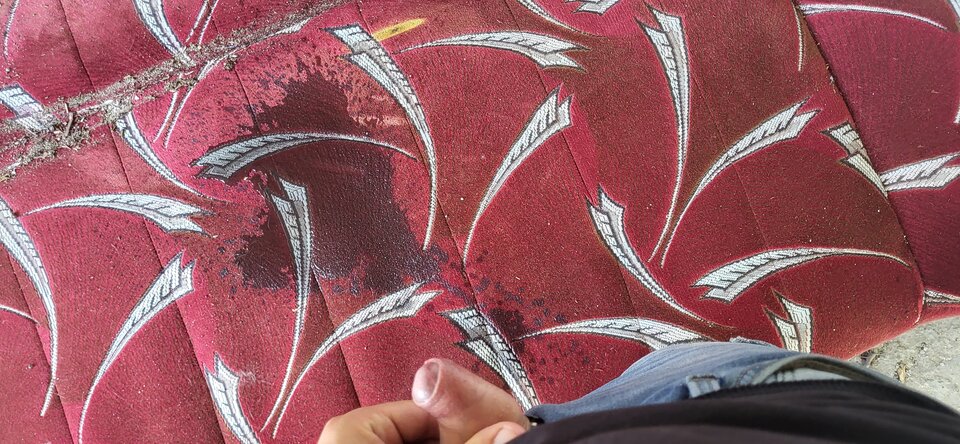 20240810_151724.jpg - BESTIALITY