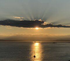 IMG_20240810_153702_compress64.jpg