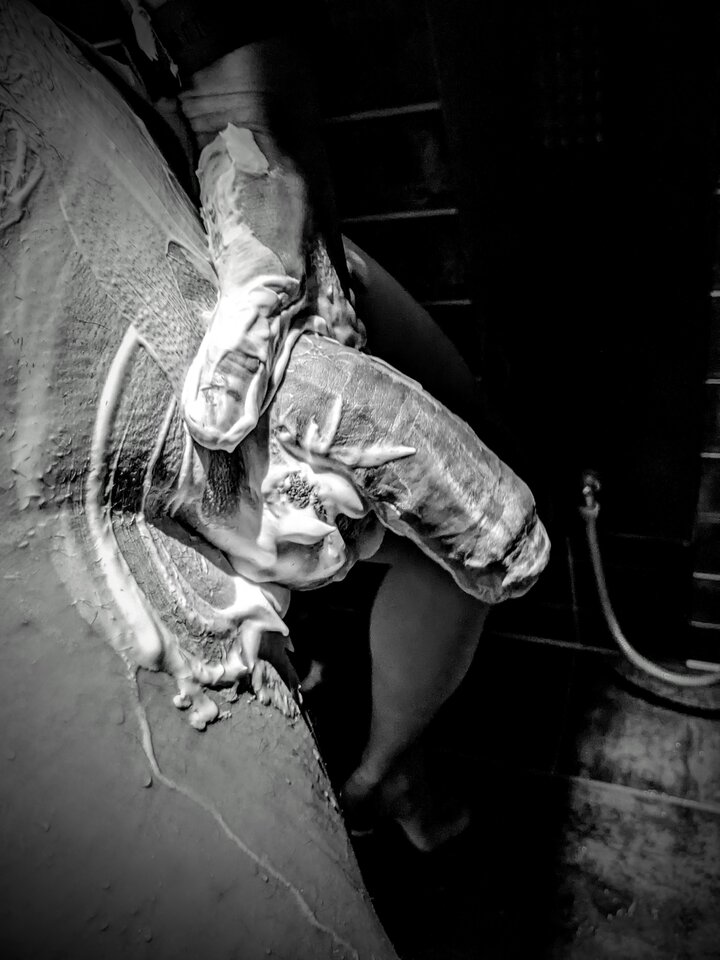 1000021402.jpg - Polk_SDB_