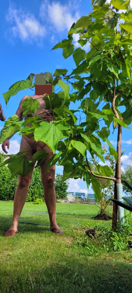 20240810_155113.jpg - Naturysta72