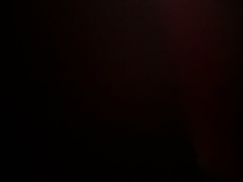 1000004338.jpg - Najtlower