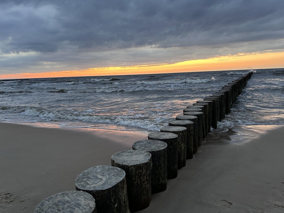 IMG_1064.jpeg - Helot