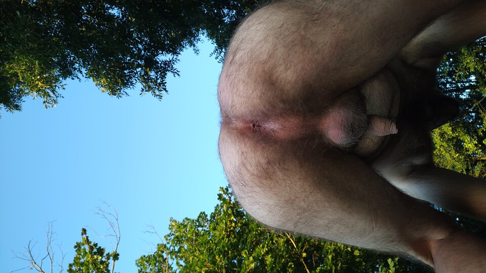 IMG_20240811_053759129.jpg - napalony97