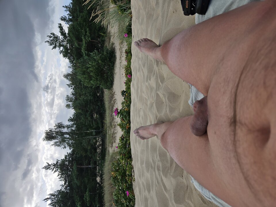 Stogi.jpg - Zpowrotemzgdanska