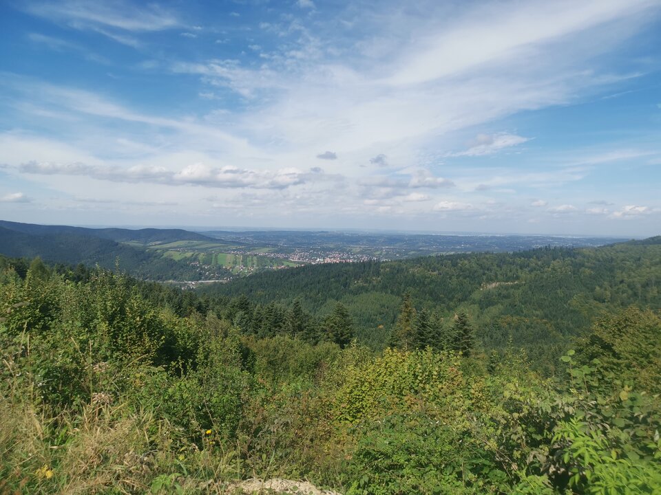 IMG_20230922_123429.jpg - t3nTamt3n