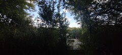 IMG20240811174042.jpg