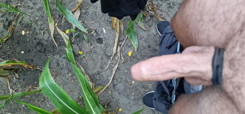 1000014987.jpg - matiwrobis