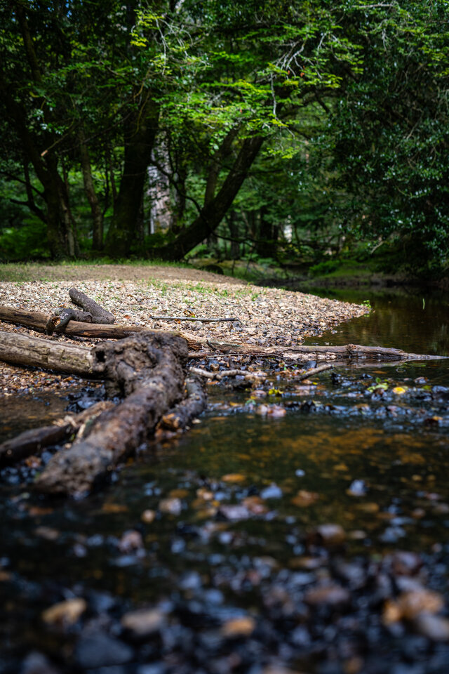 DSC_1963.jpg - U7h3r