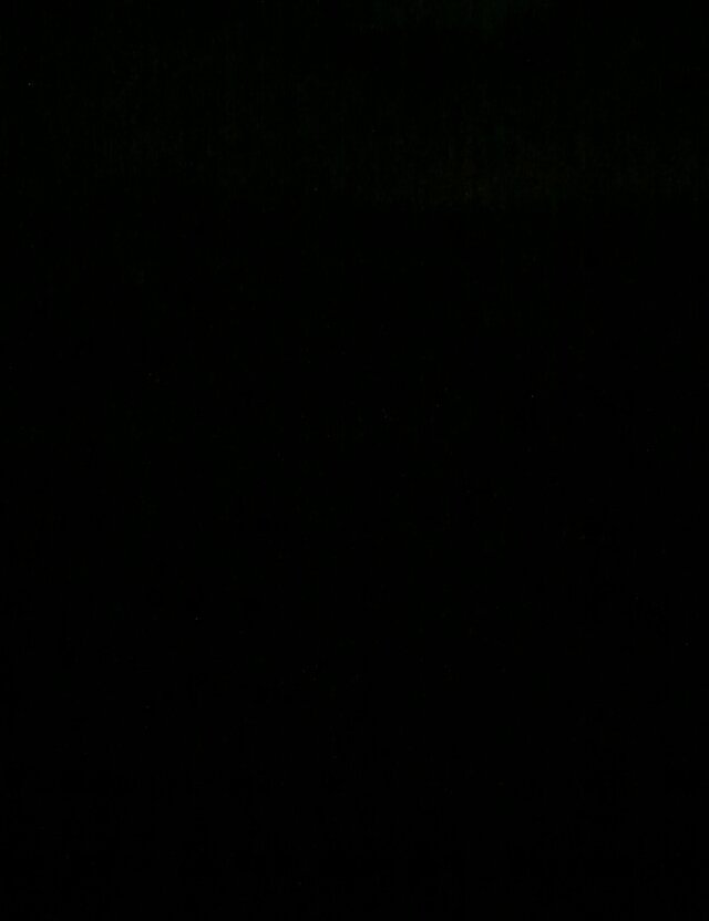 OnaWesola88
