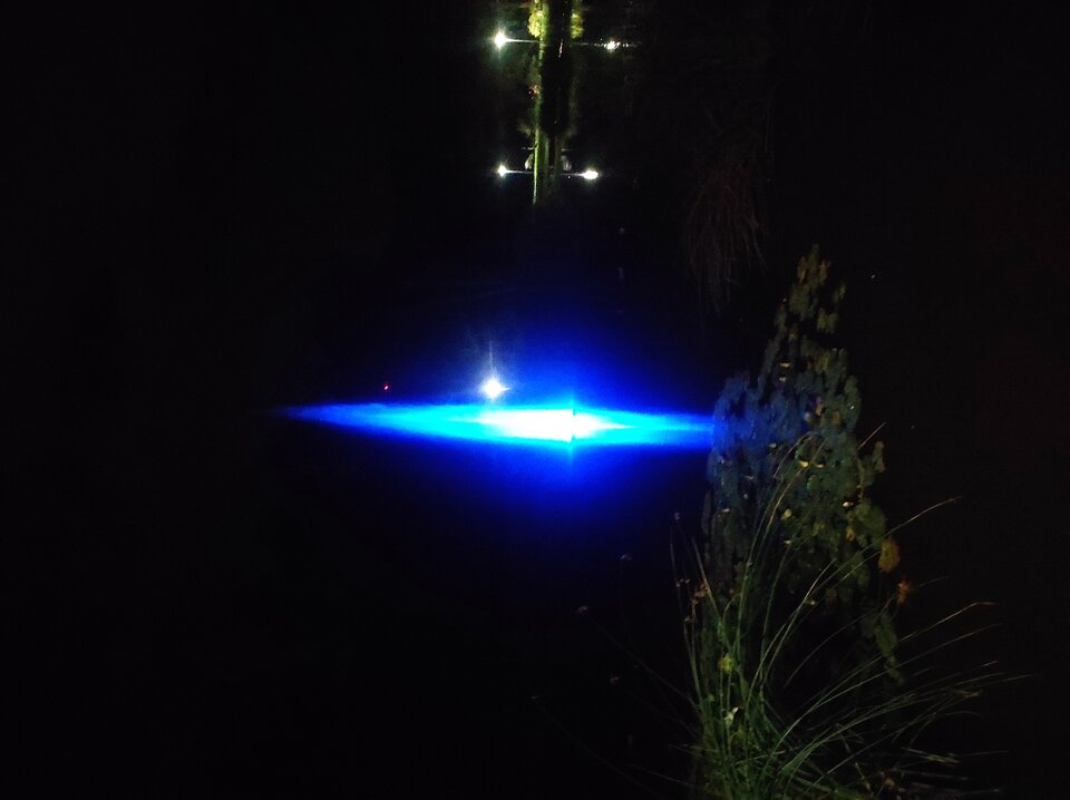 Nocne spacery... - kaki3024