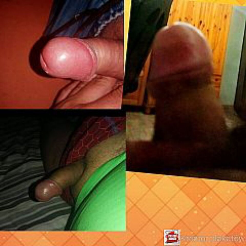 IMG_20240812_090917_699.jpg - On42puszysty