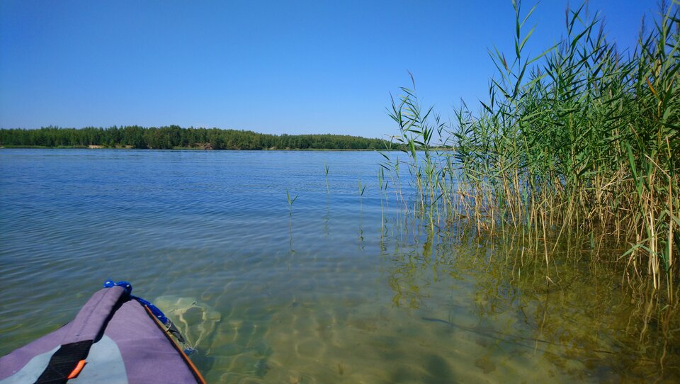 DSC_0463.JPG - Kato_Ligota_On40