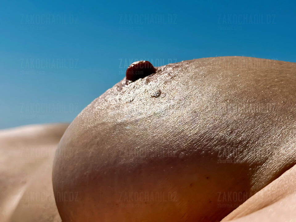 Wakacyjna Zakochana - ZakochaniLDZ