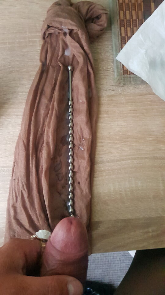 20240811_072549.jpg - bruno1981