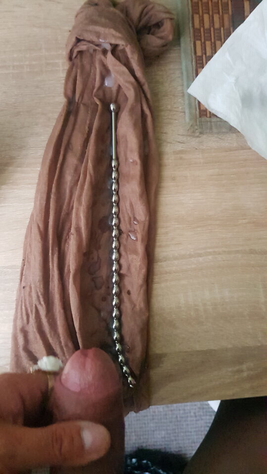 20240811_072550.jpg - bruno1981