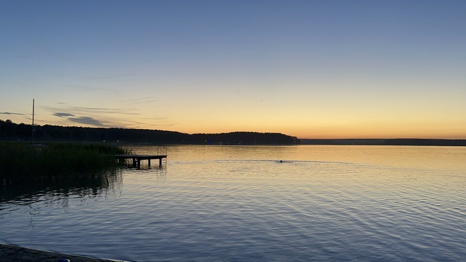 IMG_4652.jpeg - ptakitam