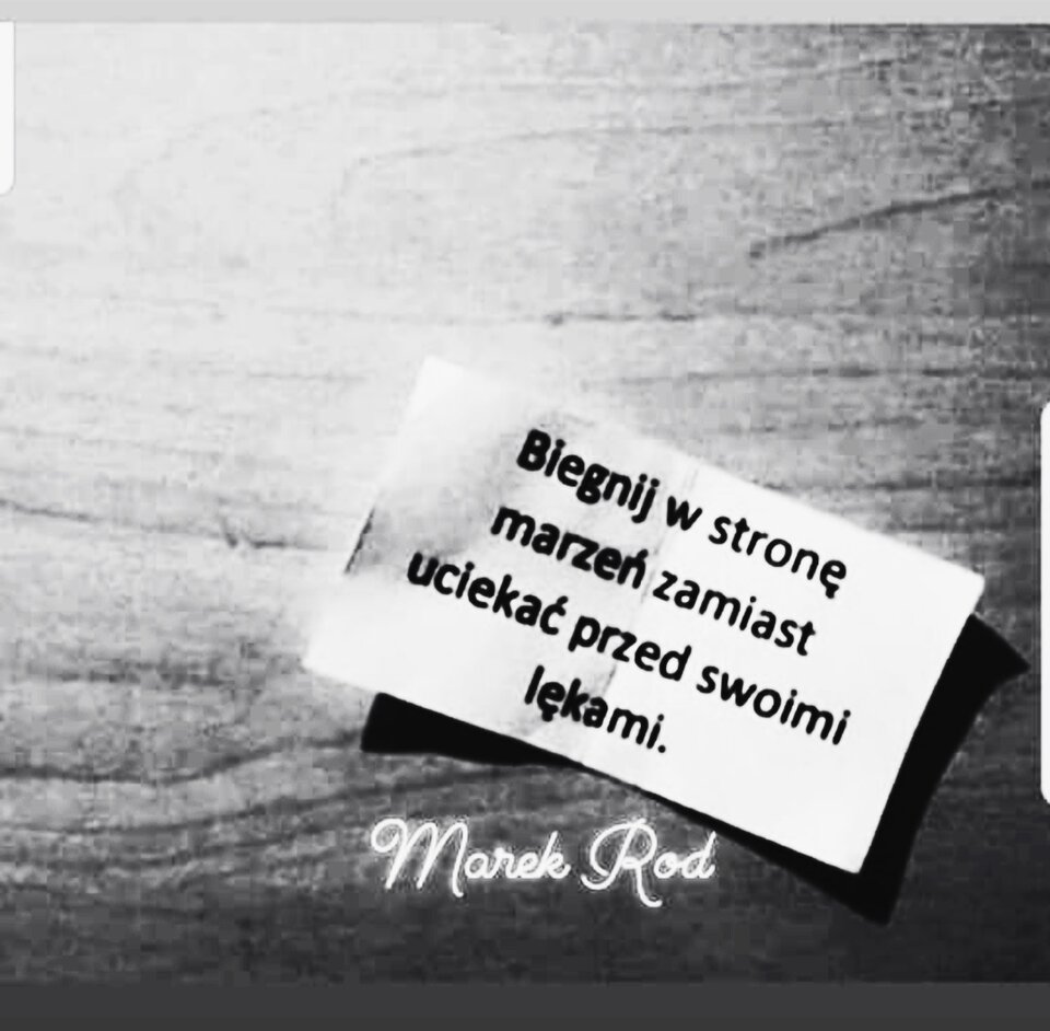 IMG_20240812_224152.jpg - Caly_ja_44