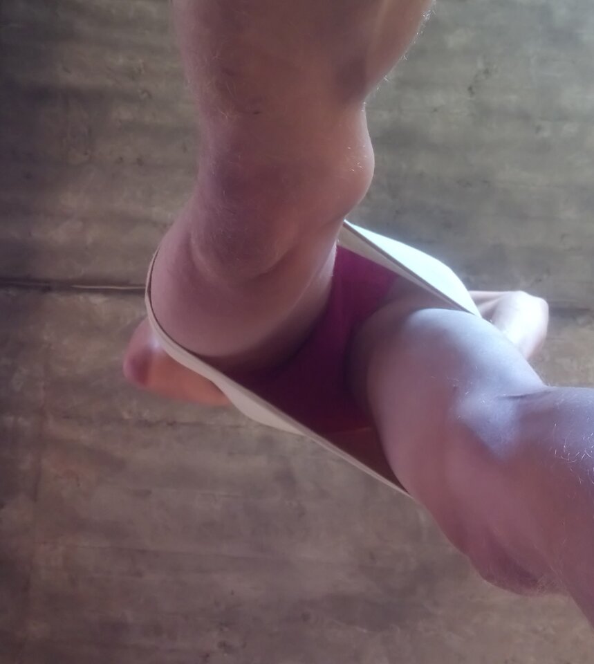 _20240813_074456.JPG - MoniaTransCD