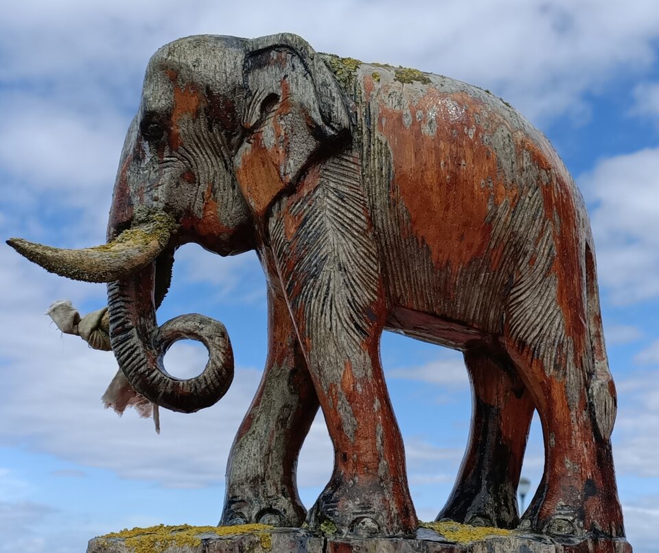 Zandvoort  (NL) - gajowy68