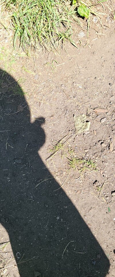 1000007021.jpg - Jesuspedrao