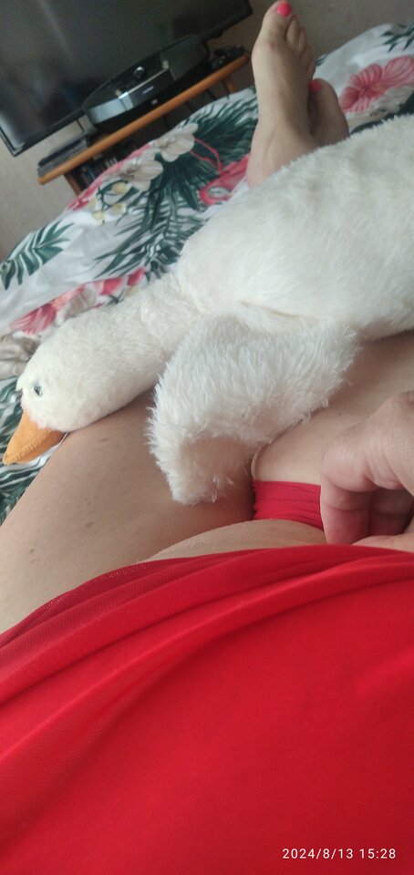 IMG_20240813_152856_1.jpg - Ajsza69