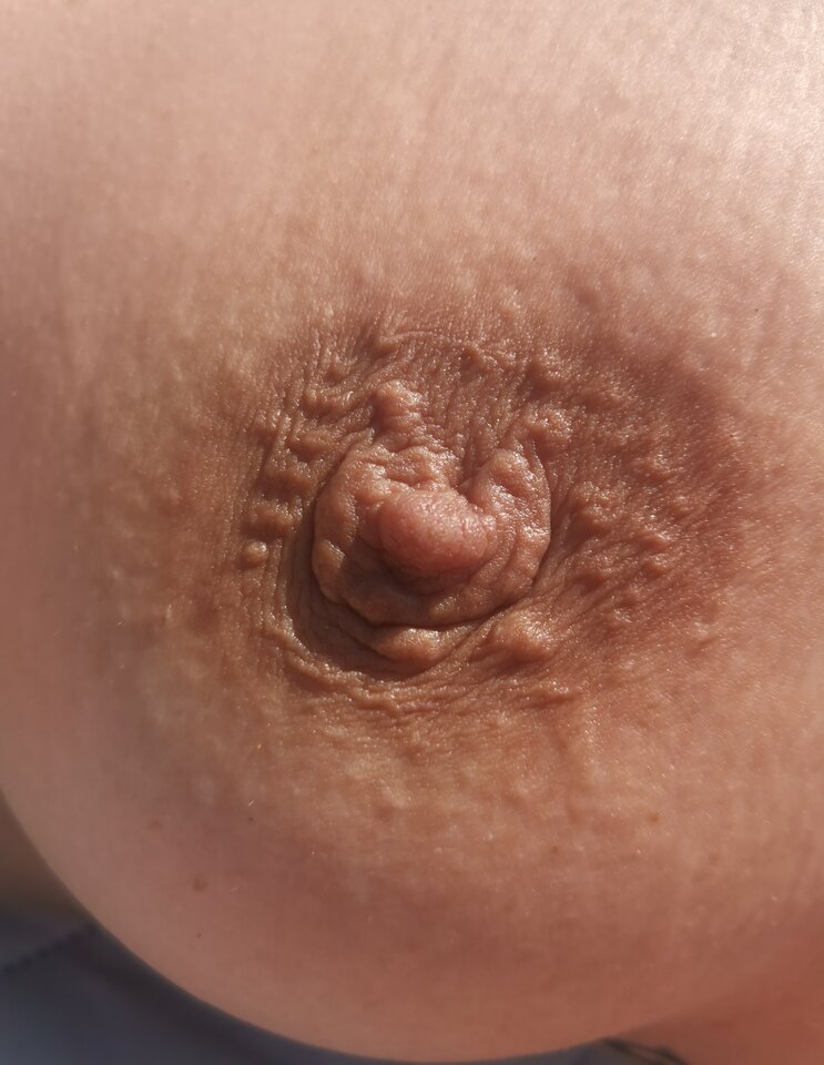 IMG_20240813_184817.jpg - Bozenka89