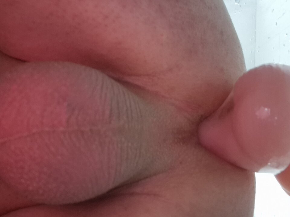 17236098111991264867067107549797.jpg - robin266