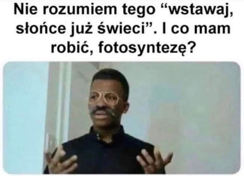 1000050899.jpg - mietowy_gin