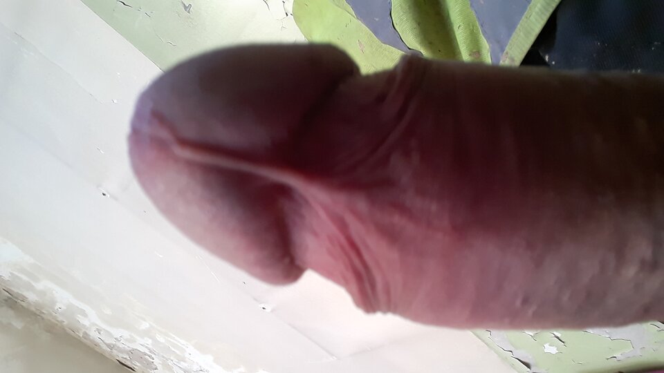 20240814_064121.jpg - 11igor11