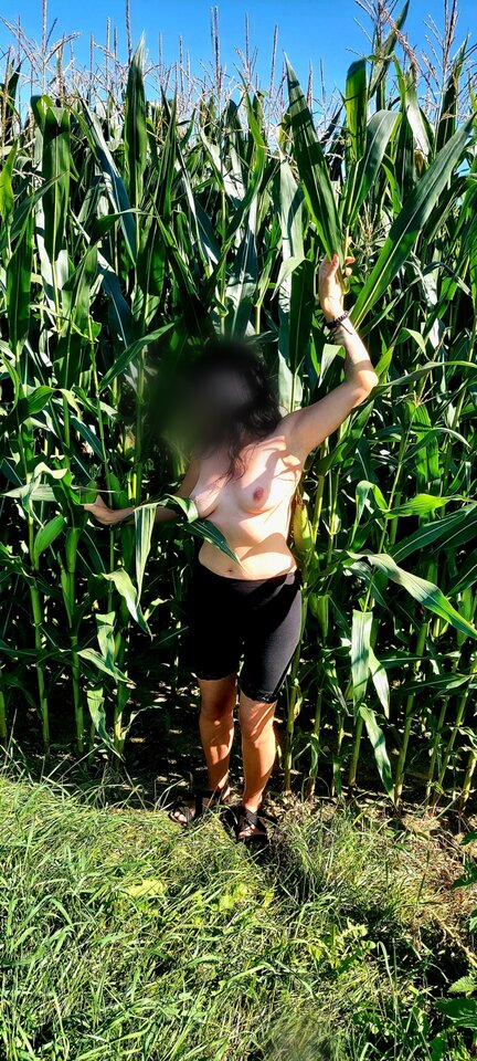 ❤️❤️❤️ Moja Pani szuka kolby 😈😈😈 - JulLuc