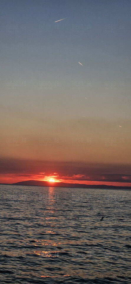 20240811_195255.jpg - Diego_48