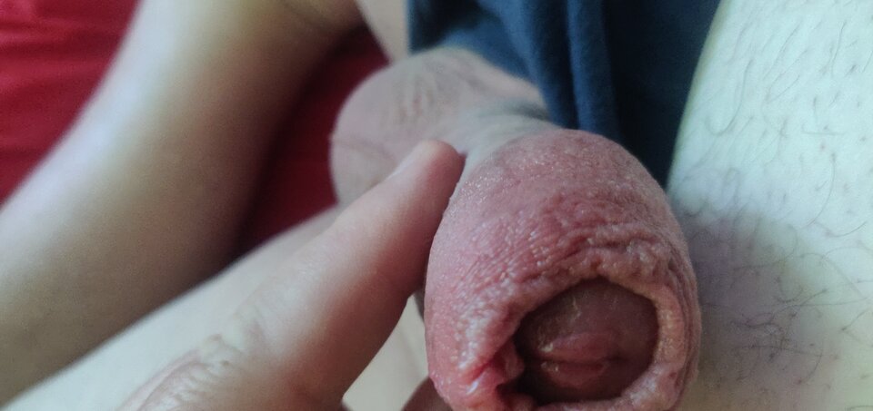 IMG_20240814_111041.jpg - fajnykutasek25