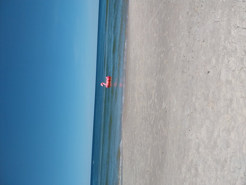 20240814_120207.jpg - misie_patysie