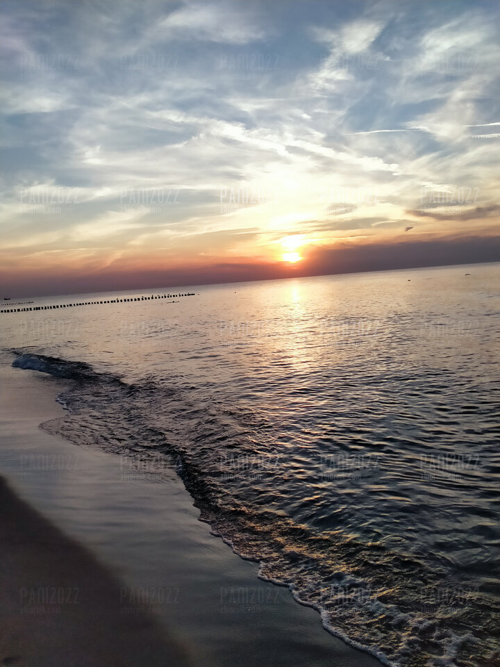 IMG20240814201518.jpg - Pani2022