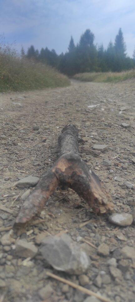 IMG_20240815_080851.jpg - NicponieFest