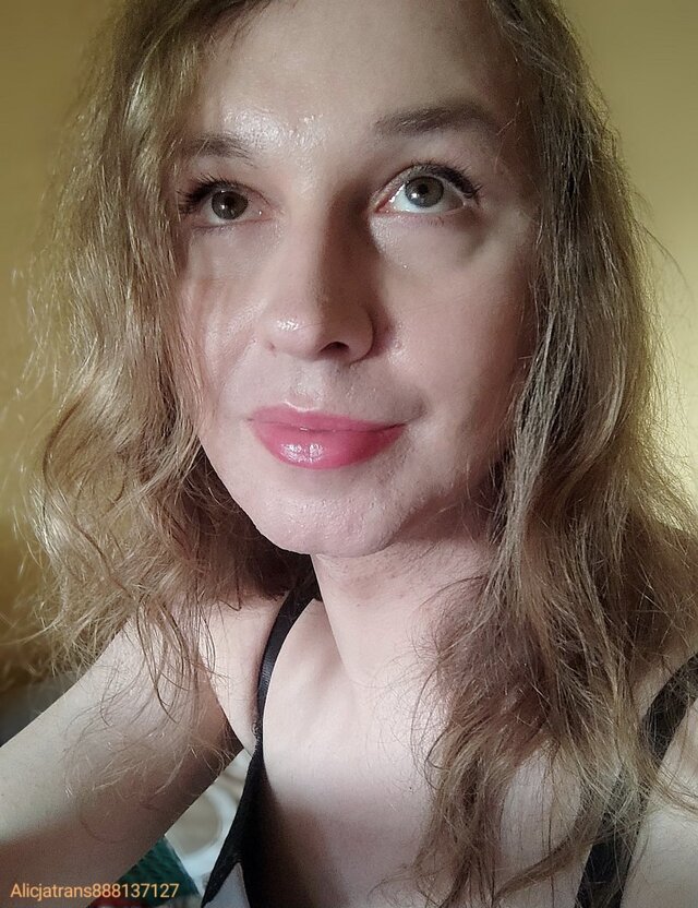 Alicjatrans888137127