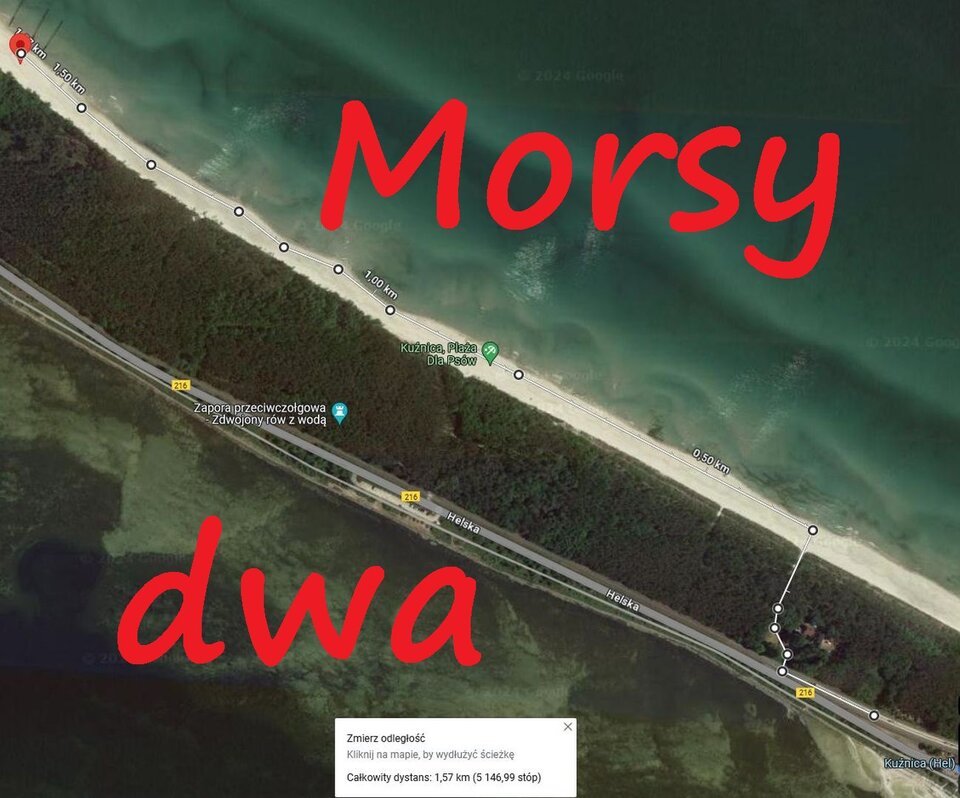 Droga z pociągu do grajdołka. - Morsy_dwa