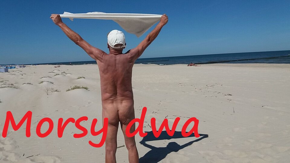 Z wiatrem w zawody. - Morsy_dwa